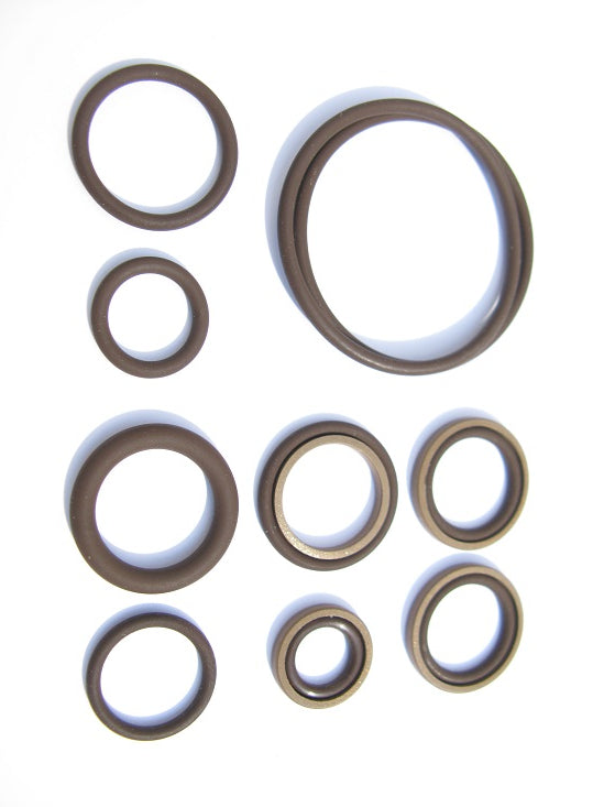 BMW S54 Vanos Seals Repair Kit